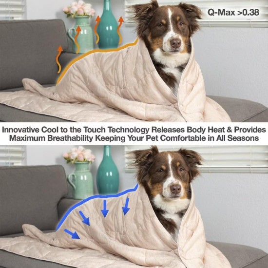PetFusion Premium Cooling Blanket for Cats and Dogs, Lightweight Pet Blanket, Machine Washable, Multiple Sizes: for Small to Extra Large Pets, Multiple Colors: Grey and Brown Blanket PetFusion Premium Cooling Blanket for Cats and Dogs, Lightweight Pet Blanket, Machine Washable, Multiple Sizes: for Small to Extra Large Pets, Multiple Colors: Grey and Brown Blanket