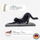 Petriumph® Cat Window Lounger Orthopaedic Cat Cushion and Cat Lounger in One Cat Bed Window Lounger for Cats Self-Heating Cat Blanket Cat Bed Window Sill Petriumph® Cat Window Lounger Orthopaedic Cat Cushion and Cat Lounger in One Cat Bed Window Lounger for Cats Self-Heating Cat Blanket Cat Bed Window Sill