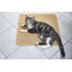 Pets Club Scratching Mat Made of 100% Sisal for Cats, Sustainable and Environmentally Friendly, Fully Overlocked with Non-Slip Backing, 50 x 80 cm Pets Club Scratching Mat Made of 100% Sisal for Cats, Sustainable and Environmentally Friendly, Fully Overlocked with Non-Slip Backing, 50 x 80 cm