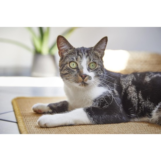Pets Club Scratching Mat Made of 100% Sisal for Cats, Sustainable and Environmentally Friendly, Fully Overlocked with Non-Slip Backing, 50 x 80 cm Pets Club Scratching Mat Made of 100% Sisal for Cats, Sustainable and Environmentally Friendly, Fully Overlocked with Non-Slip Backing, 50 x 80 cm