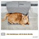 PiuPet® Cat Radiator Lounger - Suitable for All Standard Radiators - Cat Hammock Heating - Suitable for Cats up to 7 kg - Hammock Cat PiuPet® Cat Radiator Lounger - Suitable for All Standard Radiators - Cat Hammock Heating - Suitable for Cats up to 7 kg - Hammock Cat