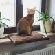 Pretty Kitty Cat Window Bed: Cuddly Cat Window Lounger for Windowsill, Premium Fluffy Cat Bed for Windows, Window Sill, Washable, 34 x 44 cm, Window Sill Lounger Pretty Kitty Cat Window Bed: Cuddly Cat Window Lounger for Windowsill, Premium Fluffy Cat Bed for Windows, Window Sill, Washable, 34 x 44 cm, Window Sill Lounger