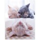 Printed Cuddly Blanket Sleeping Cats Blanket Soft Flannel Fleece Blanket 150 x 200 cm Printed Cuddly Blanket Sleeping Cats Blanket Soft Flannel Fleece Blanket 150 x 200 cm