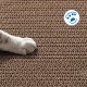Quadratischer Kratzbaum für Katzen, 2-in-1, robust und leicht zu reinigen, ideal für das Wohlbefinden und die Unterhaltung Ihres Haustiers. Quadratischer Kratzbaum für Katzen, 2-in-1, robust und leicht zu reinigen, ideal für das Wohlbefinden und die Unterhaltung Ihres Haustiers.