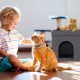 Relaxdays Foldable Cat Cave Heavy Duty Bench, Indoor Cat Furniture, Animal Hideout, H x W x D: 38.5 x 74.5 x 37 cm, Grey Relaxdays Foldable Cat Cave Heavy Duty Bench, Indoor Cat Furniture, Animal Hideout, H x W x D: 38.5 x 74.5 x 37 cm, Grey