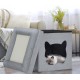 Relaxdays Foldable Cat Cave Heavy Duty Bench, Indoor Cat Furniture, Animal Hideout, HBT 38.5 x 74.5 x 37 cm, Light Brown Relaxdays Foldable Cat Cave Heavy Duty Bench, Indoor Cat Furniture, Animal Hideout, HBT 38.5 x 74.5 x 37 cm, Light Brown