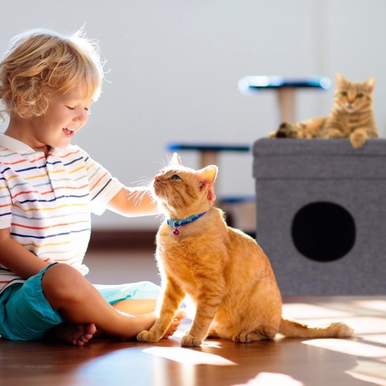 Relaxdays Foldable Cat Cave Heavy Duty Bench, Indoor Cat Furniture, Animal Hideout, HBT 38.5 x 74.5 x 37 cm, Light Brown Relaxdays Foldable Cat Cave Heavy Duty Bench, Indoor Cat Furniture, Animal Hideout, HBT 38.5 x 74.5 x 37 cm, Light Brown
