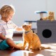 Relaxdays Foldable Cat Cave Heavy Duty Bench, Indoor Cat Furniture, Animal Hideout, HBT 38.5 x 74.5 x 37 cm, Light Brown Relaxdays Foldable Cat Cave Heavy Duty Bench, Indoor Cat Furniture, Animal Hideout, HBT 38.5 x 74.5 x 37 cm, Light Brown