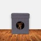 Relaxdays Foldable Cat Cave Heavy Duty Bench, Indoor Cat Furniture, Animal Hideout, HBT 38.5 x 74.5 x 37 cm, Light Brown Relaxdays Foldable Cat Cave Heavy Duty Bench, Indoor Cat Furniture, Animal Hideout, HBT 38.5 x 74.5 x 37 cm, Light Brown