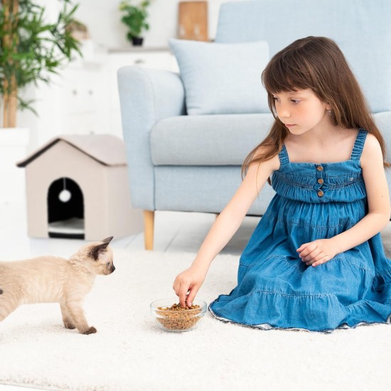Relaxdays Foldable Cat Cave Heavy Duty Bench, Indoor Cat Furniture, Animal Hideout, HBT 38.5 x 74.5 x 37 cm, Light Brown Relaxdays Foldable Cat Cave Heavy Duty Bench, Indoor Cat Furniture, Animal Hideout, HBT 38.5 x 74.5 x 37 cm, Light Brown