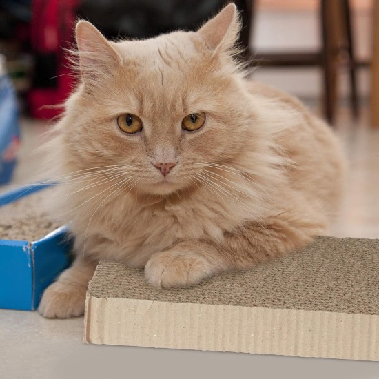 Relaxdays Scratching Cardboard Rectangular with Catnip Cat Toy Corrugated Cardboard Scratching Surface HBT 4 x 45.5 x 23.5 cm Brown Relaxdays Scratching Cardboard Rectangular with Catnip Cat Toy Corrugated Cardboard Scratching Surface HBT 4 x 45.5 x 23.5 cm Brown