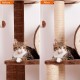 Revivoer Sisal Rope for Scratching Post, 50 m, DIY 6 mm Scratching Post Rope, Natural Hemp Rope for Scratching Post Replacement Parts, Cat Accessories, Crafts and Decorating Homes, Pack of 2 (Brown) Revivoer Sisal Rope for Scratching Post, 50 m, DIY 6 mm Scratching Post Rope, Natural Hemp Rope for Scratching Post Replacement Parts, Cat Accessories, Crafts and Decorating Homes, Pack of 2 (Brown)