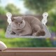 Riloventa Cat Hammock, Cat Hammock, Cat Lounger Window, Cat Bed Windowsill, Window Sill Cushion, Cat Window Sill Lounger, Hammock Seat Window Pane, Grey Riloventa Cat Hammock, Cat Hammock, Cat Lounger Window, Cat Bed Windowsill, Window Sill Cushion, Cat Window Sill Lounger, Hammock Seat Window Pane, Grey