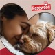 Rosewood 40 Winks Snuggle Plush Pet Bed, 15-inch, Grey/Cream Rosewood 40 Winks Snuggle Plush Pet Bed, 15-inch, Grey/Cream