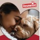 Rosewood 40 Winks Snuggle Plush Pet Bed, 20-inch, Grey/Cream Rosewood 40 Winks Snuggle Plush Pet Bed, 20-inch, Grey/Cream