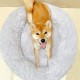 Round Cat Bed, 60 cm Cat Bed, Fluffy Pet Bed, Washable Dog Bed, Soft Plush Cat Basket for Medium, Large Dogs and Cats (Light Grey) Round Cat Bed, 60 cm Cat Bed, Fluffy Pet Bed, Washable Dog Bed, Soft Plush Cat Basket for Medium, Large Dogs and Cats (Light Grey)