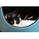 Round Cat Dome 45 x 35 cm Comfort Inuit Round Cat Dome 45 x 35 cm Comfort Inuit