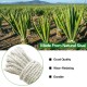 SANNIX 6 mm 30 m Sisal Rope, Natural Sisal Rope, Sisal Rope for Scratching Post, Cat Accessories, DIY, Sisal Scratching Post Replacement for Cats, Household SANNIX 6 mm 30 m Sisal Rope, Natural Sisal Rope, Sisal Rope for Scratching Post, Cat Accessories, DIY, Sisal Scratching Post Replacement for Cats, Household