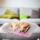 SHUAIGUO Cat Bed, Pet Bed, Washable Cat Blanket, Pet Blanket, 2-Inch Cat Blankets for Small Dogs and Cats, Warming, Comfortable, Fluffy Mat, Cat Bed, Cat Blanket (Colourful) SHUAIGUO Cat Bed, Pet Bed, Washable Cat Blanket, Pet Blanket, 2-Inch Cat Blankets for Small Dogs and Cats, Warming, Comfortable, Fluffy Mat, Cat Bed, Cat Blanket (Colourful)