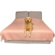 SILLY LEGACY Waterproof Bed Protector Pad (Extra Large, 100" x 96", Grey) - Soft, Thin Reversible Blanket for Pets Incontinence, Urine, Dirt, Pet Hair, Saliva SILLY LEGACY Waterproof Bed Protector Pad (Extra Large, 100" x 96", Grey) - Soft, Thin Reversible Blanket for Pets Incontinence, Urine, Dirt, Pet Hair, Saliva