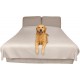 SILLY LEGACY Waterproof Bed Protector Pad (Extra Large, 100" x 96", Grey) - Soft, Thin Reversible Blanket for Pets Incontinence, Urine, Dirt, Pet Hair, Saliva SILLY LEGACY Waterproof Bed Protector Pad (Extra Large, 100" x 96", Grey) - Soft, Thin Reversible Blanket for Pets Incontinence, Urine, Dirt, Pet Hair, Saliva