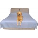 SILLY LEGACY Waterproof Bed Protector Pad (Extra Large, 100" x 96", Grey) - Soft, Thin Reversible Blanket for Pets Incontinence, Urine, Dirt, Pet Hair, Saliva SILLY LEGACY Waterproof Bed Protector Pad (Extra Large, 100" x 96", Grey) - Soft, Thin Reversible Blanket for Pets Incontinence, Urine, Dirt, Pet Hair, Saliva