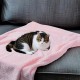 SLSON 2 Blankets, Dog Blankets, Cat Blankets, Soft Double-Sided Pet Blankets for Sofas, Chairs, Cars, Travel and Pets Keep Warm, Machine Washable, 70 x 100 cm (Grey and White)