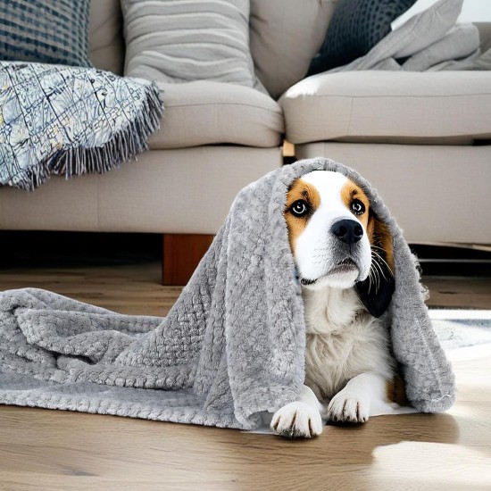 SLSON 2 Blankets, Dog Blankets, Cat Blankets, Soft Double-Sided Pet Blankets for Sofas, Chairs, Cars, Travel and Pets Keep Warm, Machine Washable, 70 x 100 cm (Grey and White) SLSON 2 Blankets, Dog Blankets, Cat Blankets, Soft Double-Sided Pet Blankets for Sofas, Chairs, Cars, Travel and Pets Keep Warm, Machine Washable, 70 x 100 cm (Grey and White)