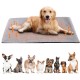 Self-Heating Blanket for Cats and Dogs: Cat Bed Self-Heating Blanket Cat Washable Removable Dog Blanket Fluffy Heat Blanket without Electricity Self-Warming for Cats and Small Dogs (48 x 70 cm) Self-Heating Blanket for Cats and Dogs: Cat Bed Self-Heating Blanket Cat Washable Removable Dog Blanket Fluffy Heat Blanket without Electricity Self-Warming for Cats and Small Dogs (48 x 70 cm)