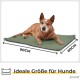 Self-Heating Blanket for Cats and Dogs, Size: 60 x 45 cm, Innovative and Environmentally Friendly Heated Cat Blanket Self-Heating Blanket for Cats and Dogs, Size: 60 x 45 cm, Innovative and Environmentally Friendly Heated Cat Blanket