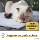 Self-Heating Blanket for Cats and Dogs, Size: 60 x 45 cm, Innovative and Environmentally Friendly Heated Cat Blanket Self-Heating Blanket for Cats and Dogs, Size: 60 x 45 cm, Innovative and Environmentally Friendly Heated Cat Blanket