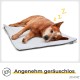 Self-Heating Blanket for Cats and Dogs, Size: 60 x 45 cm, Innovative and Environmentally Friendly Heated Cat Blanket Self-Heating Blanket for Cats and Dogs, Size: 60 x 45 cm, Innovative and Environmentally Friendly Heated Cat Blanket