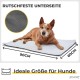 Self-Heating Blanket for Cats and Dogs, Size: 60 x 45 cm, Innovative and Environmentally Friendly Heated Cat Blanket Self-Heating Blanket for Cats and Dogs, Size: 60 x 45 cm, Innovative and Environmentally Friendly Heated Cat Blanket