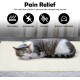 Self-Heating Cat Blanket, Heat Blanket for Cats and Dogs, Electric Blanket for Cats and Dogs, Heat Blanket Cat, Self-Heating Cat Blanket for Cats and Dogs, 60 x 40 cm, Without Electricity Self-Heating Cat Blanket, Heat Blanket for Cats and Dogs, Electric Blanket for Cats and Dogs, Heat Blanket Cat, Self-Heating Cat Blanket for Cats and Dogs, 60 x 40 cm, Without Electricity