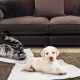 Self-heating blanket for cats and dogs, heat blanket for cats and dogs, environmentally friendly heat mat, heating mat, cat blanket Self-heating blanket for cats and dogs, heat blanket for cats and dogs, environmentally friendly heat mat, heating mat, cat blanket