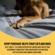 Silly Legacy Waterproof Reversible Pet Bed Couch Blanket or Liner (King/XL, 82" x 100", Peach) Silly Legacy Waterproof Reversible Pet Bed Couch Blanket or Liner (King/XL, 82" x 100", Peach)