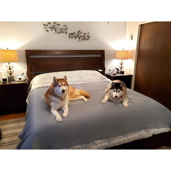 Silly Legacy Waterproof Reversible Pet Bed Couch Blanket or Liner (King/XL, 82" x 100", Peach) Silly Legacy Waterproof Reversible Pet Bed Couch Blanket or Liner (King/XL, 82" x 100", Peach)