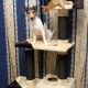 Sisal Rope 6 mm for Cat Scratcher Cat Scratching Post Repair and Replacement, DIY Scratching Furniture - Scratching Post, Scratching Mat & Mat, Kitten Kicker Toy, Grey 50 m / 164 ft Sisal Rope 6 mm for Cat Scratcher Cat Scratching Post Repair and Replacement, DIY Scratching Furniture - Scratching Post, Scratching Mat & Mat, Kitten Kicker Toy, Grey 50 m / 164 ft