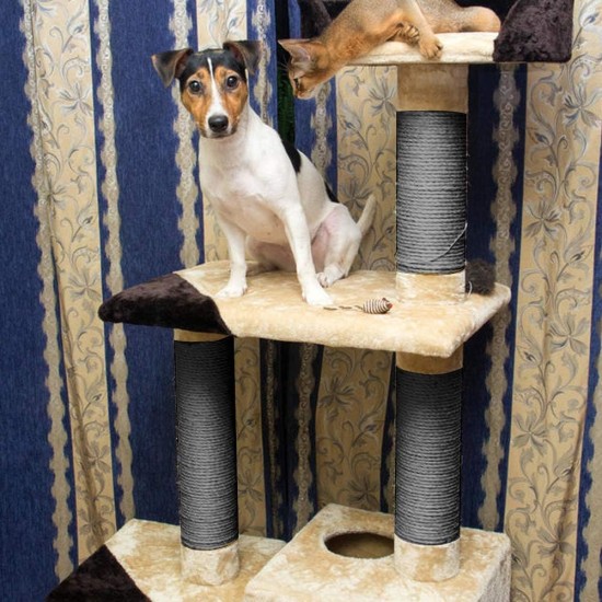 Sisal Rope 6 mm for Cat Scratcher Cat Scratching Post Repair and Replacement, DIY Scratching Furniture - Scratching Post, Scratching Mat & Mat, Kitten Kicker Toy, Grey 50 m / 164 ft Sisal Rope 6 mm for Cat Scratcher Cat Scratching Post Repair and Replacement, DIY Scratching Furniture - Scratching Post, Scratching Mat & Mat, Kitten Kicker Toy, Grey 50 m / 164 ft