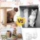 Sisal Rope 6 mm/50 m for Cat Scratching Post Replacement, Natural Jute Rope with 2 Cat Toys Sisal Balls/4 Sisal Mice, Thick Natural Hemp Rope, Long Scratching Rope for DIY Packaging/Paw Balls/Garden Sisal Rope 6 mm/50 m for Cat Scratching Post Replacement, Natural Jute Rope with 2 Cat Toys Sisal Balls/4 Sisal Mice, Thick Natural Hemp Rope, Long Scratching Rope for DIY Packaging/Paw Balls/Garden