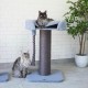 Sisal Rope for Cat Cactus Scratching Post 6 mm x 50 m, Cat Rope for DIY Cactus Scratching Post & Repair Cat Scratches, Green Sisal Rope for Cat Cactus Scratching Post 6 mm x 50 m, Cat Rope for DIY Cactus Scratching Post & Repair Cat Scratches, Green