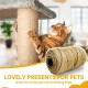 Sisal Rope for Scratching Post 6 mm x 60 m, Pack of 2 Natural Sisal Rope for Cats, Scratching Post Cord, Sisal Rope, Knit for Cat Tree, Scratching Post Decoration, Scratching Rope, Household, Garden Sisal Rope for Scratching Post 6 mm x 60 m, Pack of 2 Natural Sisal Rope for Cats, Scratching Post Cord, Sisal Rope, Knit for Cat Tree, Scratching Post Decoration, Scratching Rope, Household, Garden