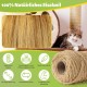 Sisal Rope for Scratching Post, 9 mm x 80 m, Natural Sisal Rope, Sisal Cat Tree Cord Including 3 Cat Toys, Scratching Post Sisal Rope for Cats, Scratching Post, Scratching Rope, Household, DIY, Garden Sisal Rope for Scratching Post, 9 mm x 80 m, Natural Sisal Rope, Sisal Cat Tree Cord Including 3 Cat Toys, Scratching Post Sisal Rope for Cats, Scratching Post, Scratching Rope, Household, DIY, Garden