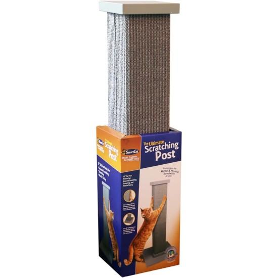SmartCat Pioneer Pet Ultimate Cat Scratching Post, Grey, 32 Inch (Pack of 1) SmartCat Pioneer Pet Ultimate Cat Scratching Post, Grey, 32 Inch (Pack of 1)