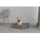 Sogni e capricci Pets, Dandy Padded Basket 62 x 50 x 17 cm Brown Sogni e capricci Pets, Dandy Padded Basket 62 x 50 x 17 cm Brown