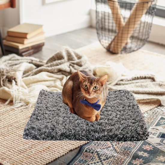 Sporgo Self-Heating Blanket for Cats and Dogs: Heat Mat, Electric Blanket, Cat Bed, Cat Blanket, 40 x 50 cm, Self-Warming Heating Mat, Thermal Blanket, Washable Dog Thermal Blanket, Grey Sporgo Self-Heating Blanket for Cats and Dogs: Heat Mat, Electric Blanket, Cat Bed, Cat Blanket, 40 x 50 cm, Self-Warming Heating Mat, Thermal Blanket, Washable Dog Thermal Blanket, Grey