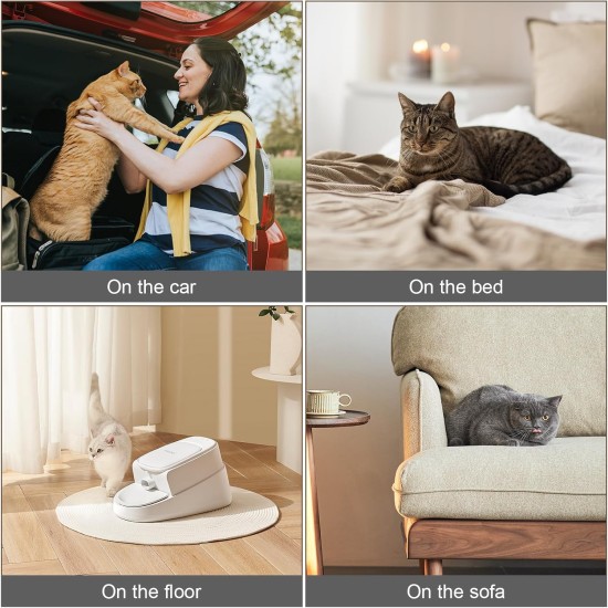 Sporgo Self-Heating Blanket for Cats and Dogs: Heat Mat, Electric Blanket, Cat Bed, Cat Blanket, 40 x 50 cm, Self-Warming Heating Mat, Thermal Blanket, Washable Dog Thermal Blanket, Grey Sporgo Self-Heating Blanket for Cats and Dogs: Heat Mat, Electric Blanket, Cat Bed, Cat Blanket, 40 x 50 cm, Self-Warming Heating Mat, Thermal Blanket, Washable Dog Thermal Blanket, Grey