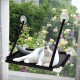 Suction Cups for Cat Window Beds, 8 Pieces Replacement Suction Cup Wall Hooks for Cat Window Beds without Nails for Cat Window Bed Hammock