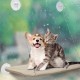 Suction Cups for Cat Window Beds, 8 Pieces Replacement Suction Cup Wall Hooks for Cat Window Beds without Nails for Cat Window Bed Hammock