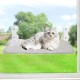 Sudadera Cat Hammock, Window Bed for Cats with Sturdy Suction Cups, Cat Hammock Window, Cat Hammock Window, Load Weight of 25 kg, 47 x 30 cm (Grey) Sudadera Cat Hammock, Window Bed for Cats with Sturdy Suction Cups, Cat Hammock Window, Cat Hammock Window, Load Weight of 25 kg, 47 x 30 cm (Grey)
